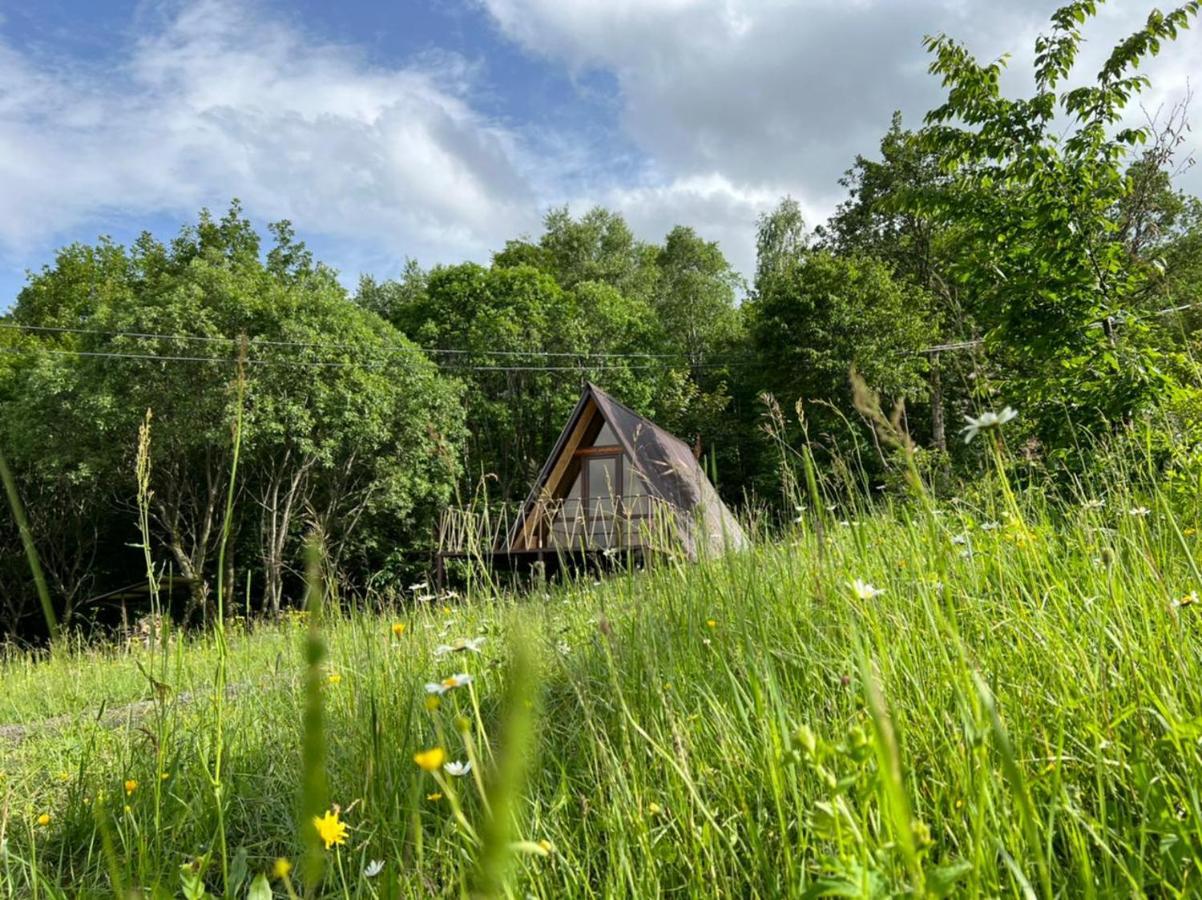 Glamping Wolf Mount Villa Margahovit Стая снимка