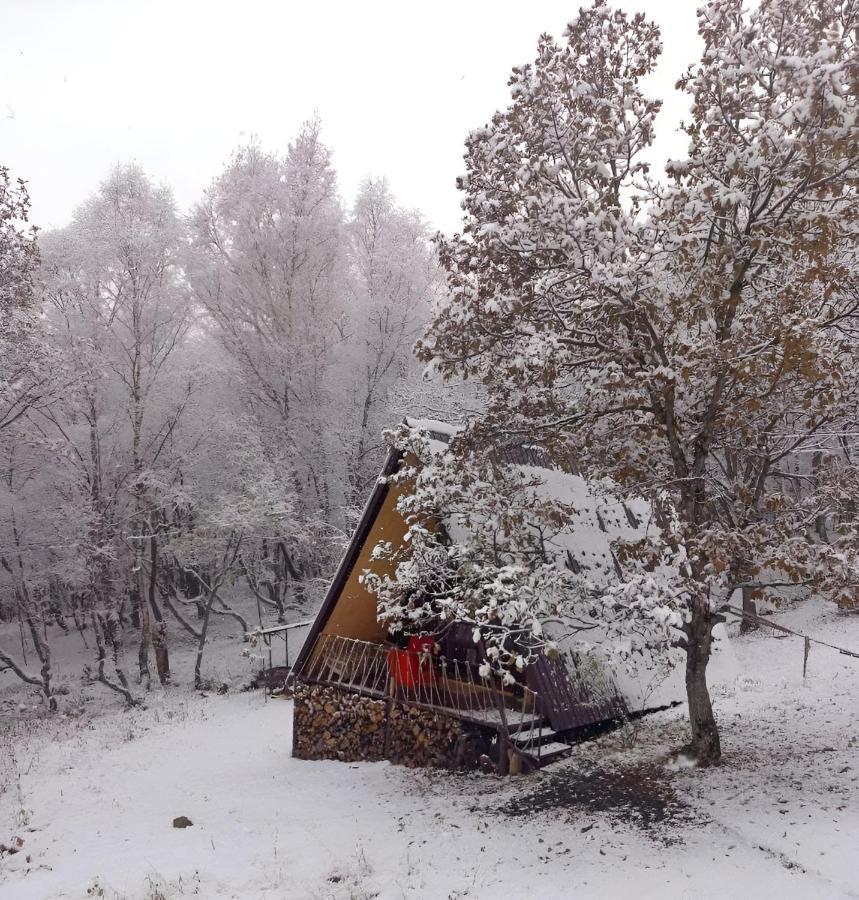 Glamping Wolf Mount Villa Margahovit Екстериор снимка